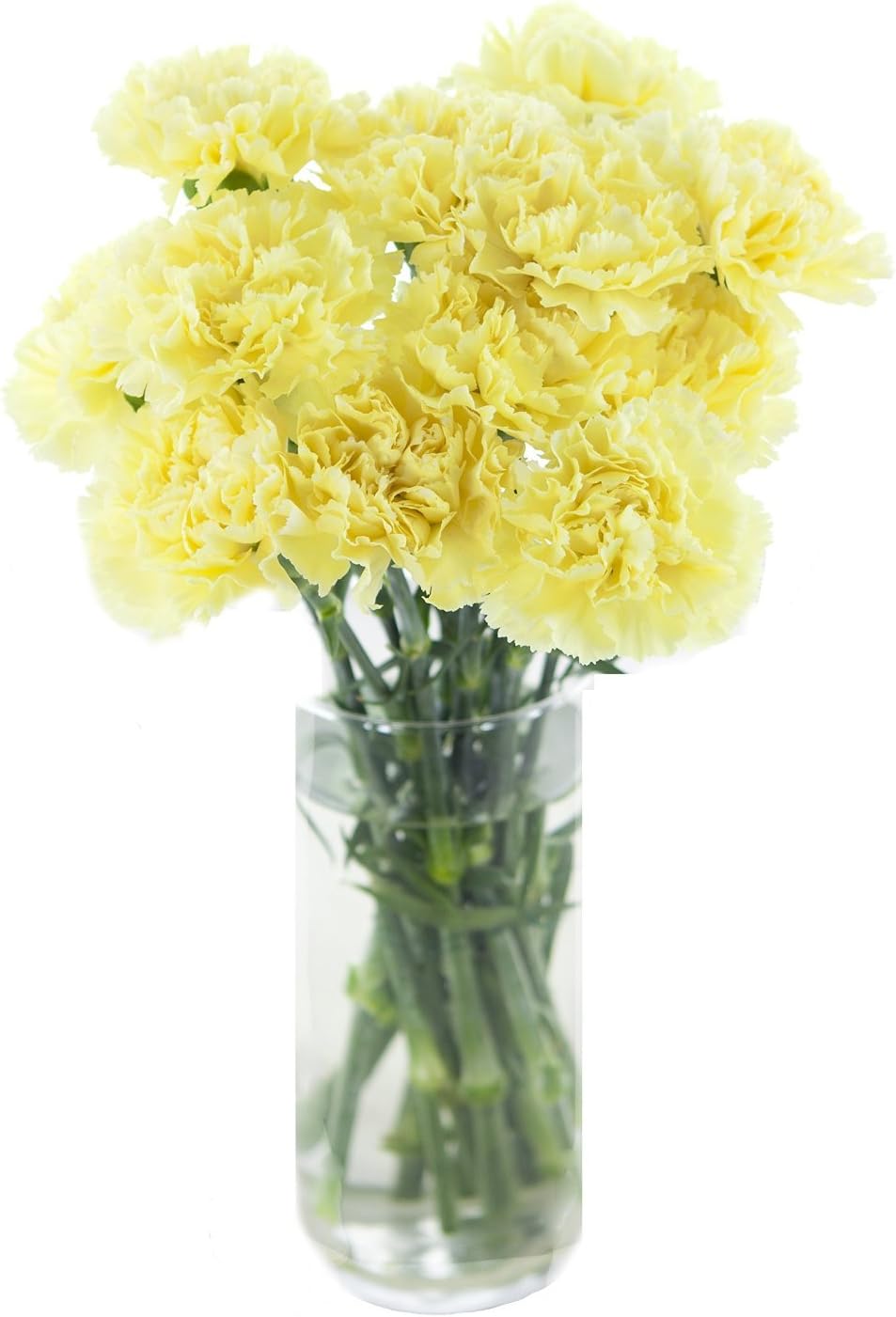 Cut Flowers - Carnation Yellow