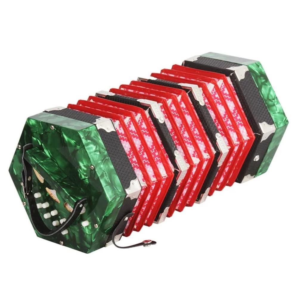 Amazon | 20ボタンアコーディオンコンサーティーナ、学びやすい音楽