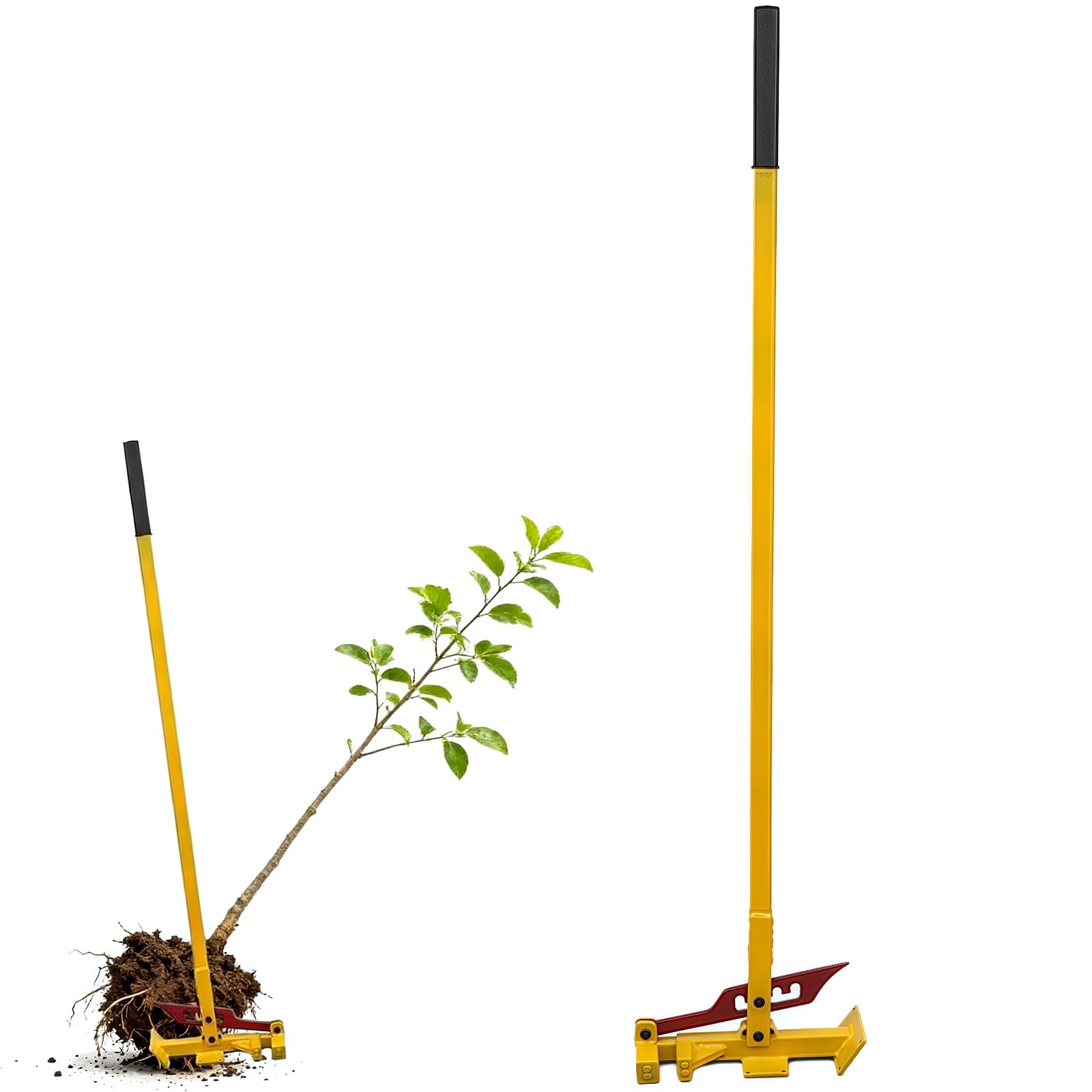 Extracteur de racines d'arbre robuste avec base extensible et pince réglable