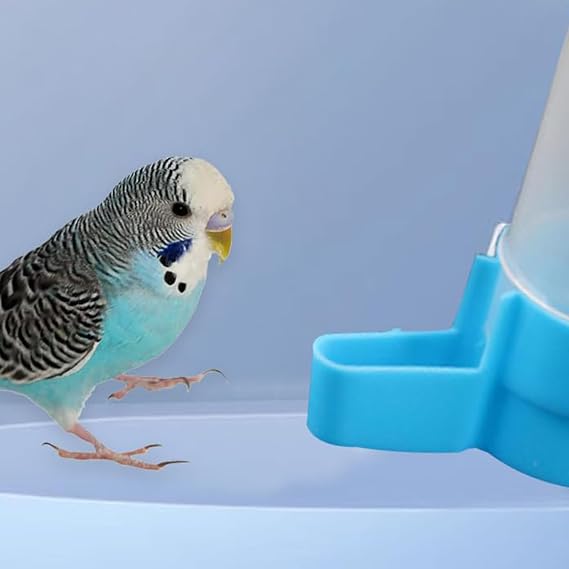 Automatic Bird Water Dispenser - 120ml Hanging Water Feeder for Parrots, Budgies, Cockatiels & Small Birds, Drip-Free Cage Water Bottle with Easy-Fill Design (Blue)