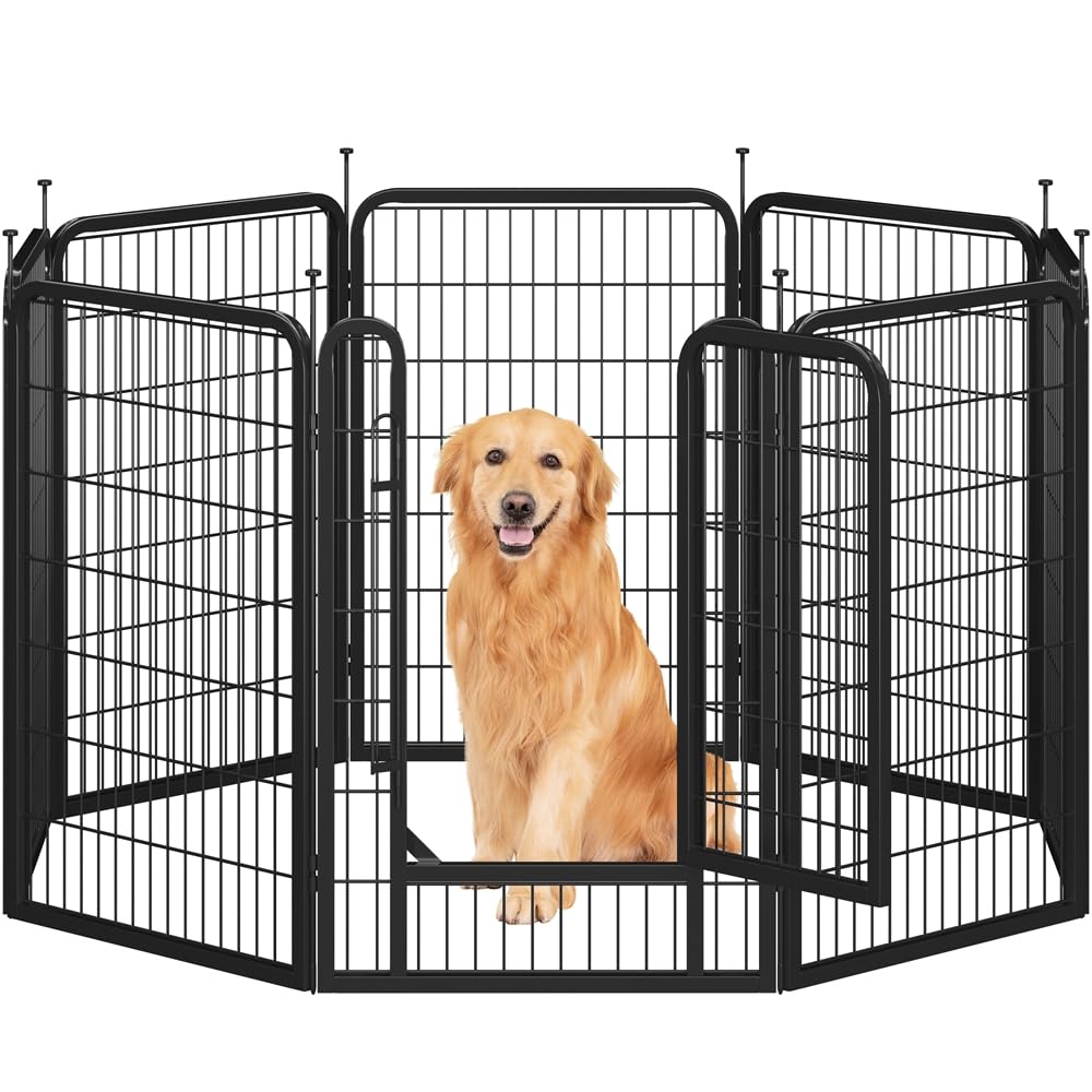 Parque para perros exterior