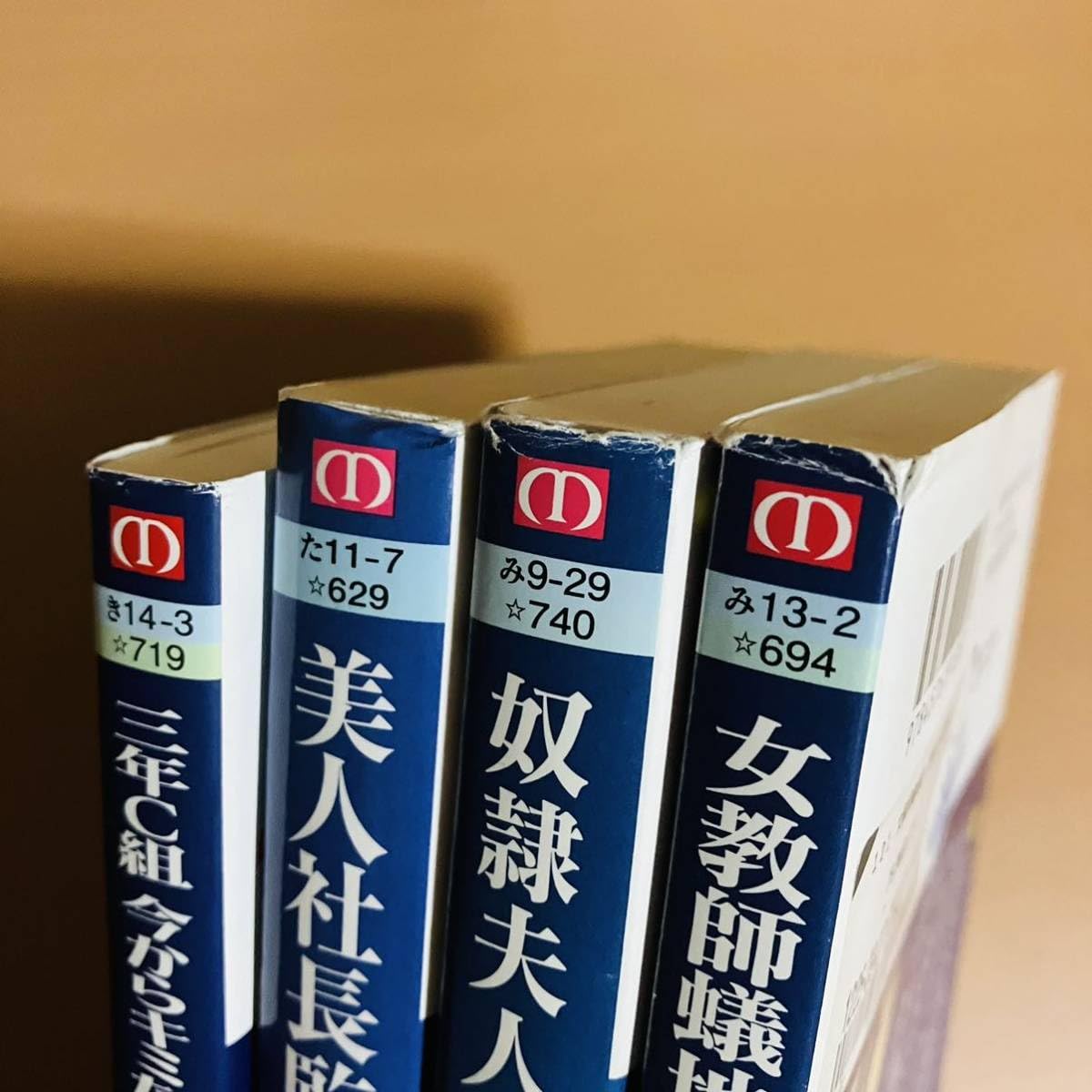 U440mフランス書院文庫19冊セット中古活字文庫セット官能小説 フランス 