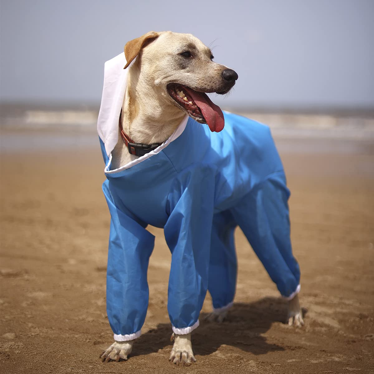 Four Legged Raincoat (Extra Extra Large, Blue) (B072THCD6R) Amazon Price History, Amazon Price Tracker