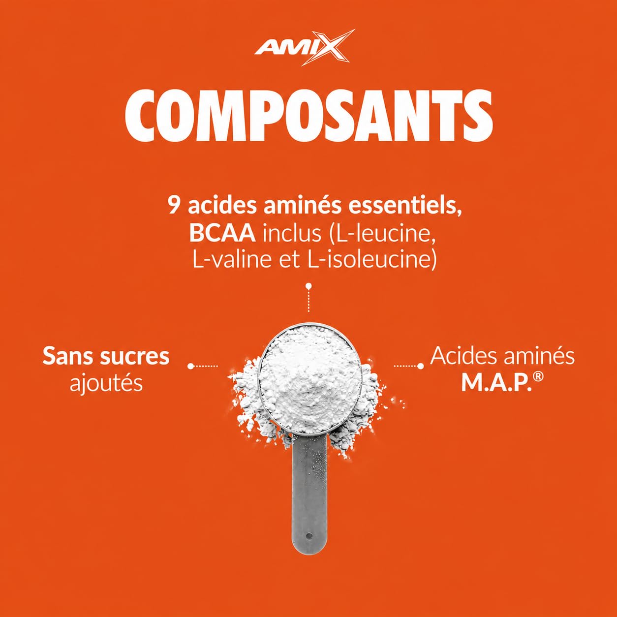 AMIX Map Muscle Muscle Amino Power - Essential Amino Acid Sports Supplément - Favorise la Synthèse des Protéines Post-formation et Améliore la Masse Musculaire - Mangue - Ananas - 344 g