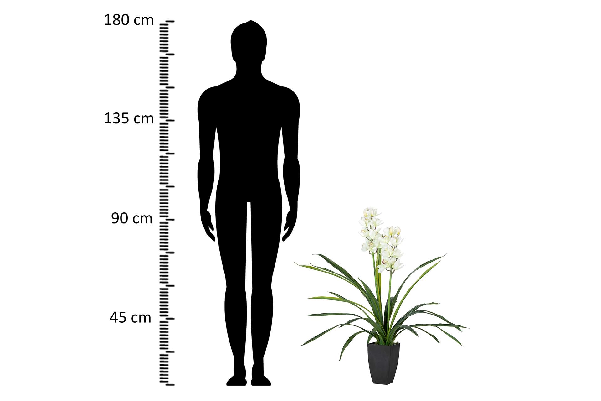 Planta orquidea cymbidium 60x60x100 cm Verde/Negro/Gris