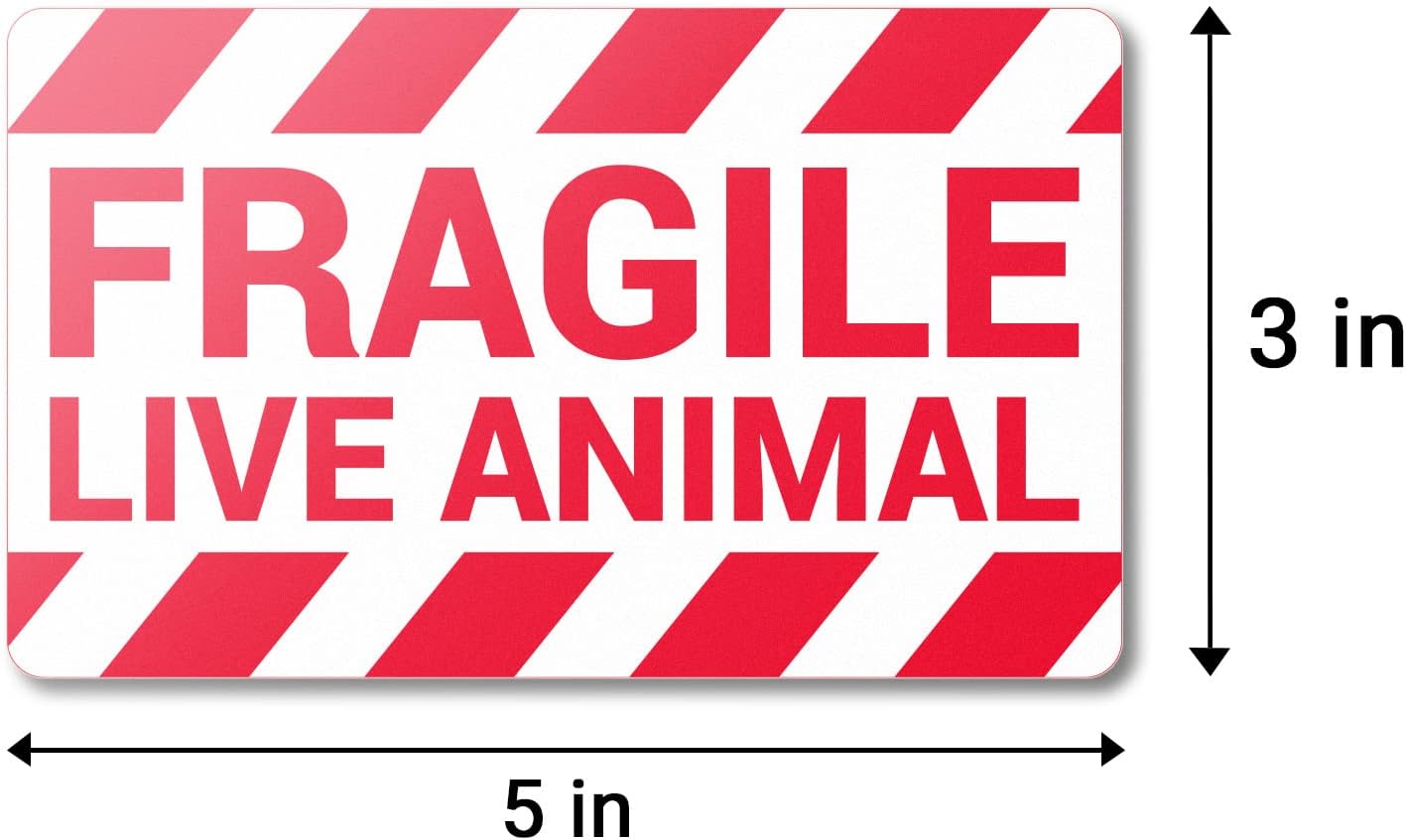 Fragile Live Animal Labels (5 x 3 inch, Red - 300 Labels) Live Animals Stickers with Fragile Messaging for Shipping & Handling Instructions, Shipping Live Animals & Airline Cargo Crates