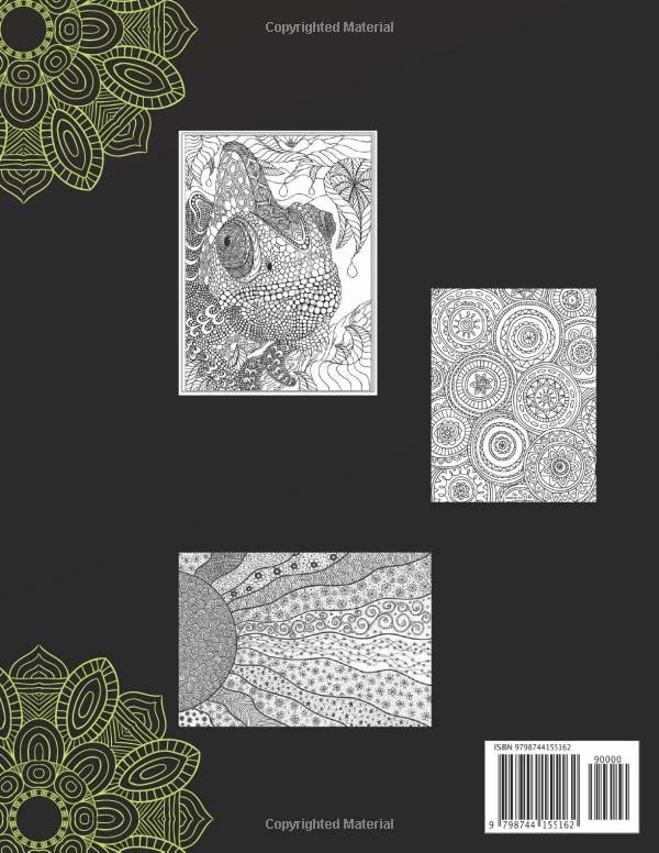 Coloring Book For Adults: An Adult Coloring Book with Fun, Easy, and Relaxing Coloring Pages, Stress and Anxiety Relief, Man, Women, Perfect Gift image 3