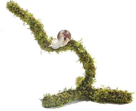 Bendable Pet Snail Climbing Toys, Ideal Snail Terrarium Accessories, Nice for Pet Snails that Like to Climb,12 Inch