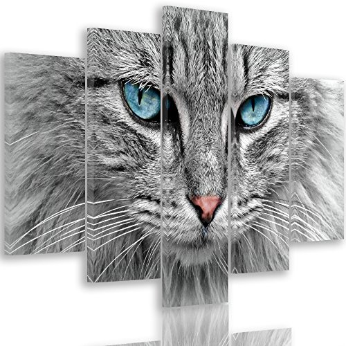 Feeby Frames Tableau décoration Chat Toile 5 Parties Gris 200x100 cm