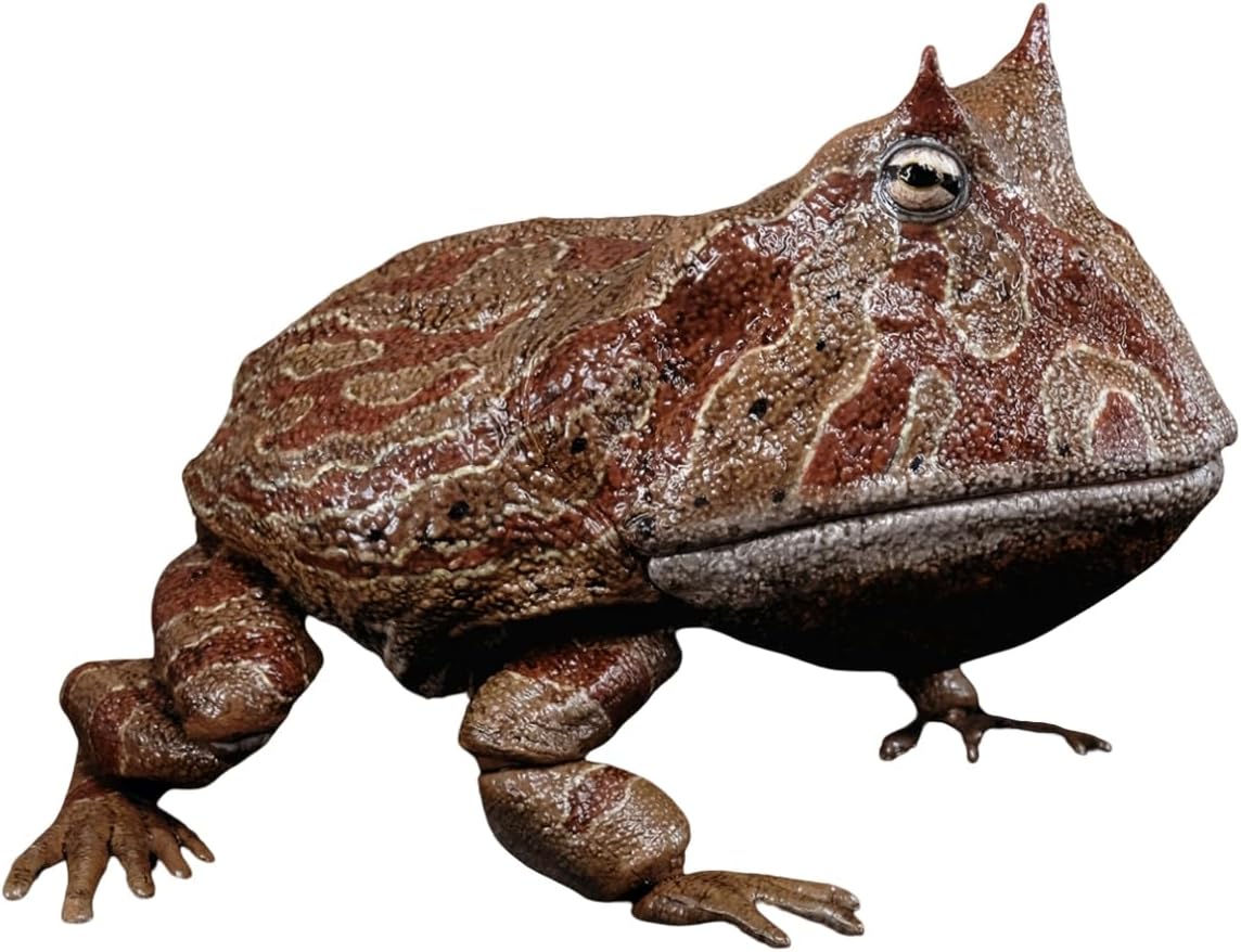 カエル・動物デザインの金属製品2509 カエル・動物デザインの金属製品2509