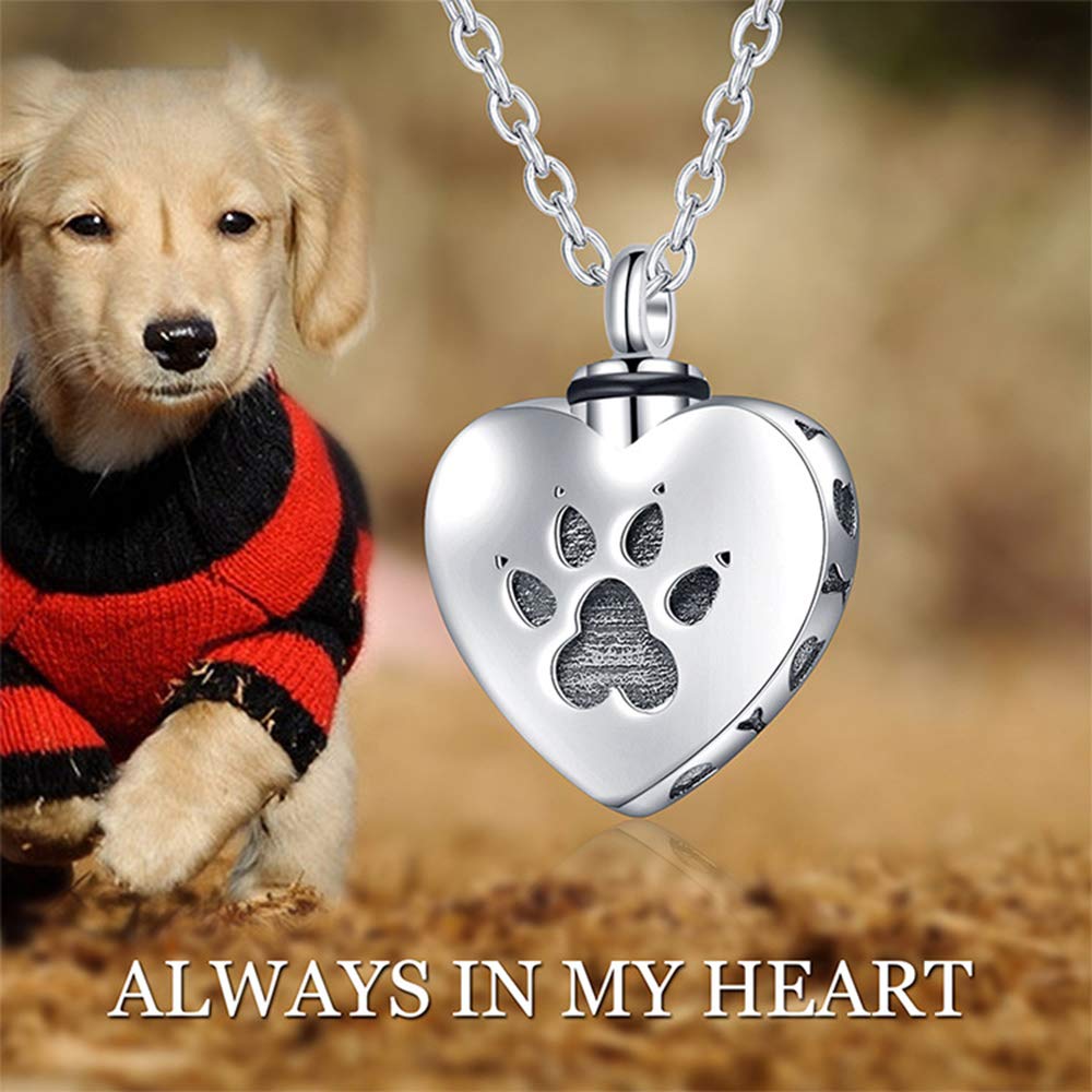 Eusense Halsketting as urn hanger 925 sterling zilver crematie medaillon voor menselijke as hond kat, herdenkingssieraden Moederdag, Sterling Zilver, Geen edelsteen