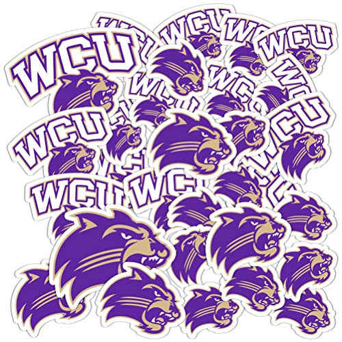 Desert Cactus Western Carolina University Sticker Catamounts WCU Vinyl Decals Laptop Water Bottle Car Scrapbook 13.46x10.91 Sheet T1 (Type 1-1)