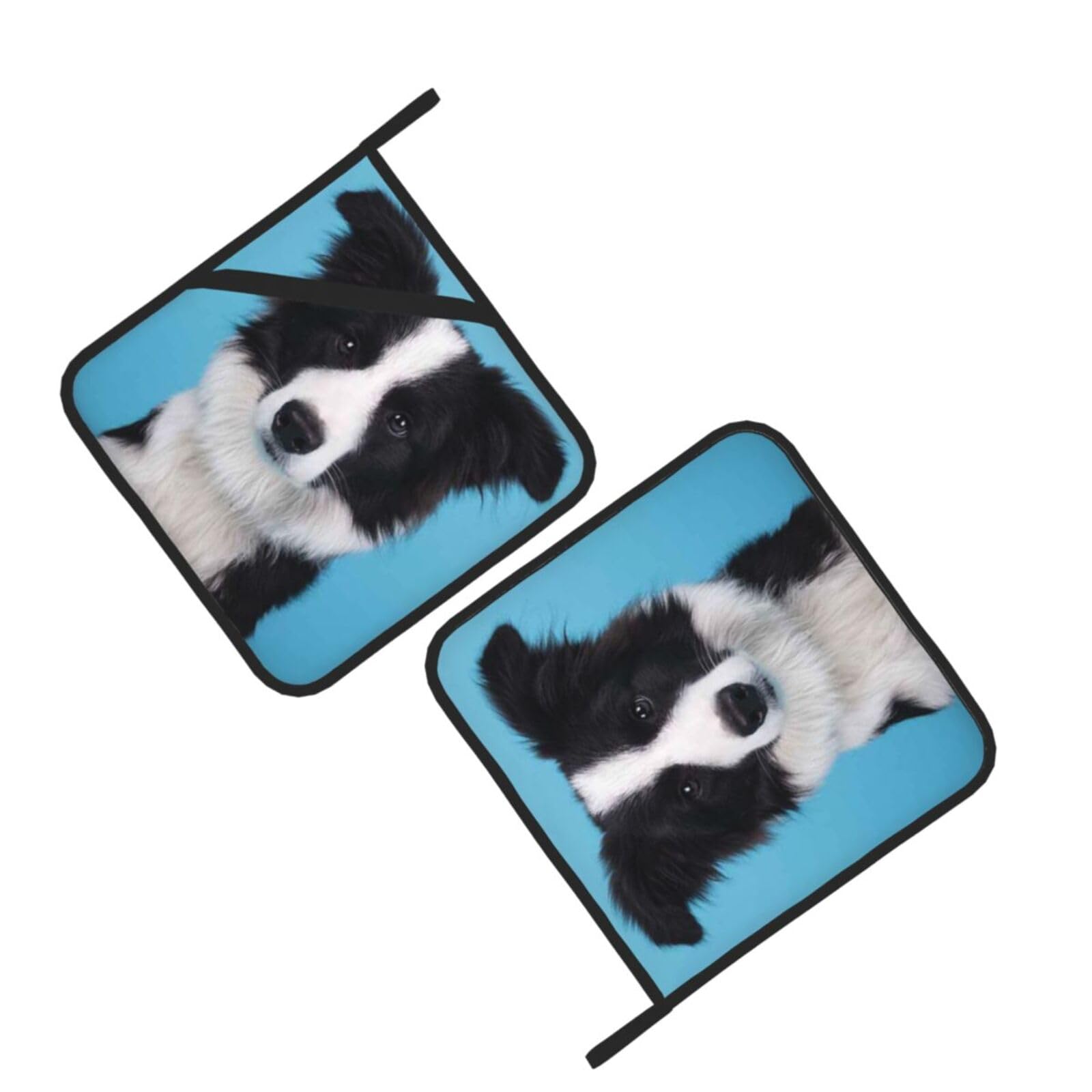 Border Collie Printed Oven Pot Holders Set of 2 Pcs Heat Resistant Kitchen Microwave Potholders for Cooking Baking Grilling