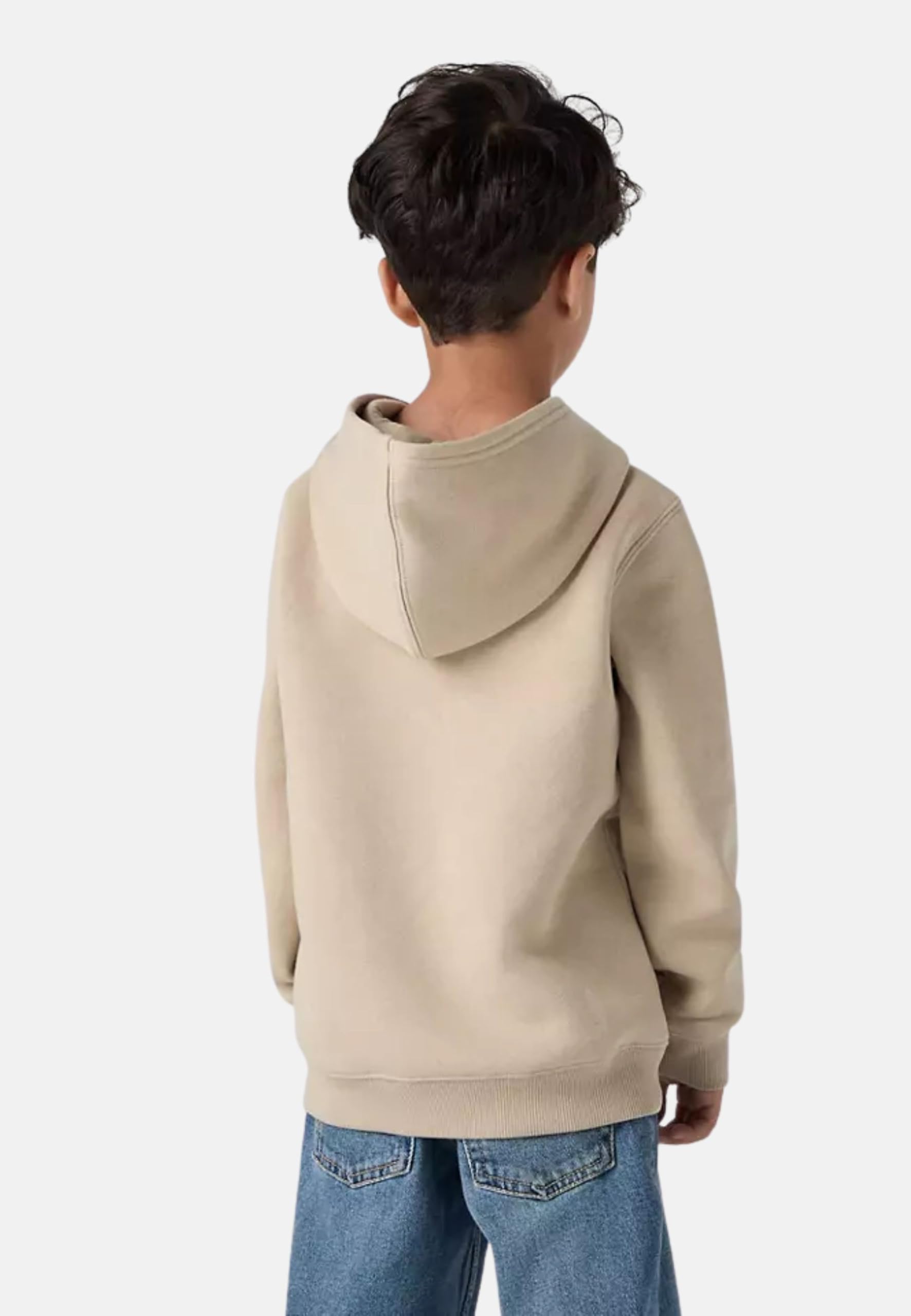 Levi's Bluza z kapturem Chłopcy Levi's Kidsmini Batwing Hoodie Hooded Sweatshirt