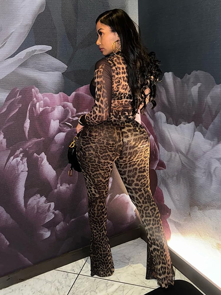 Women's Leopard Print Two Piece Set Mesh See Through Top Bodycon Pants Cheetah Print Set Y2K Club Outfits For Women - Image 7