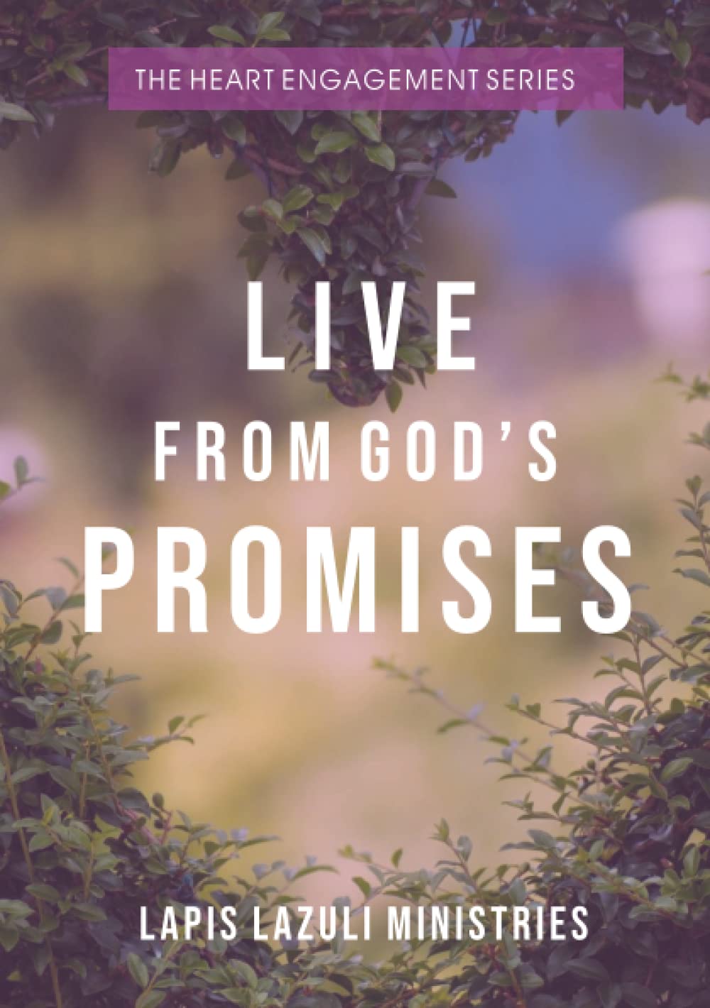 The Heart Engagement Series: Live From God's Promises