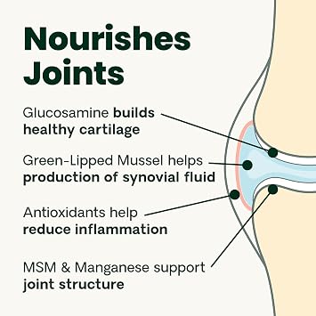 VetriScience Healthy Hip & Joint Chews, GlycoFlex Glucosamine and Green-Lipped Mussel Joint Support Supplement for Cats, Promote Mobility and Protect Joints, Chicken, 60 Count
