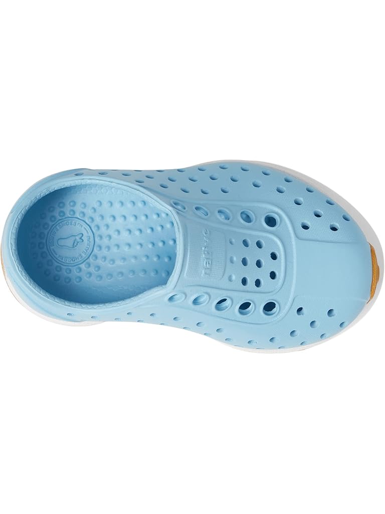 Native Shoes Kids Robbie (Toddler)