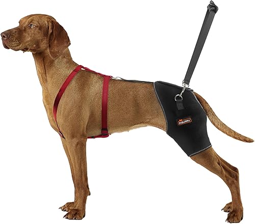 Soporte de cadera para perro para displasia de cadera, proporciona posoperatorio, diseño de mano trasera para reducir el dolor de cadera, soporte