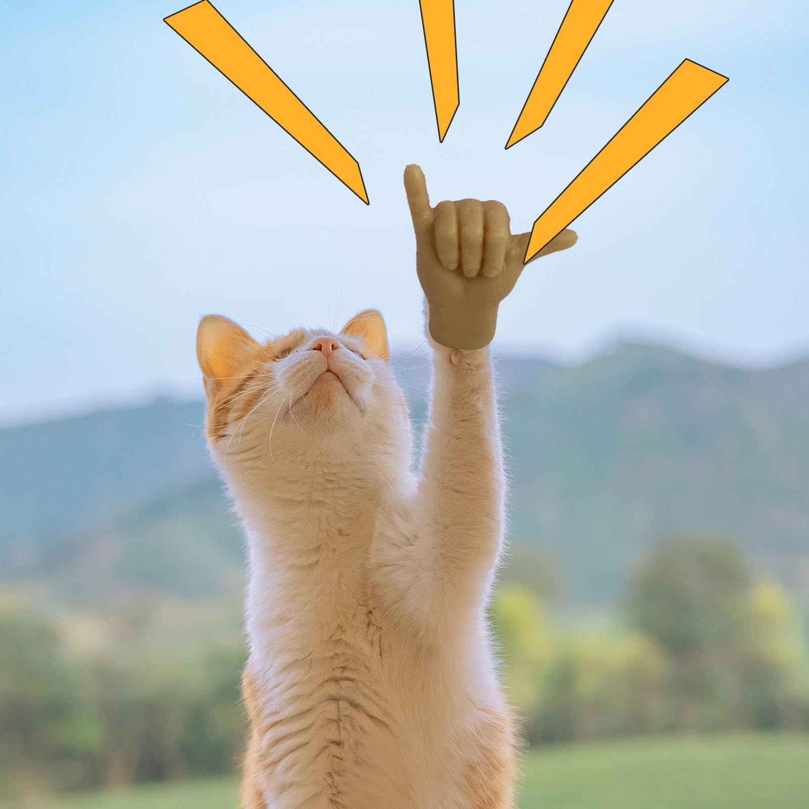 Amazon | 猫用のミニハンド 猫の手 猫のミニハンド 猫用の小さな手6個