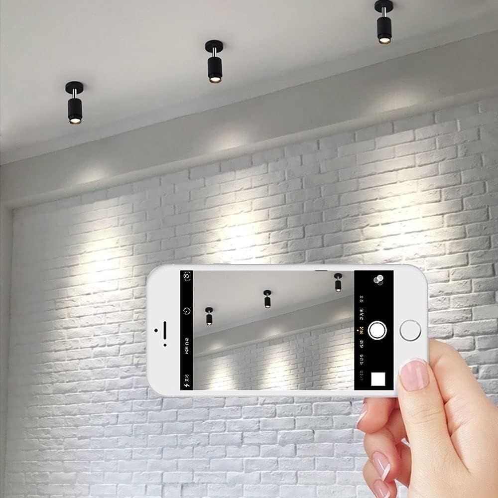 Black Mounted Accent Spot Light Ceiling Spotlight, Adjustable Ceiling Mount Lamp Fixtures Simple Aluminum Directional Spotlights,for Various Rooms,3000K