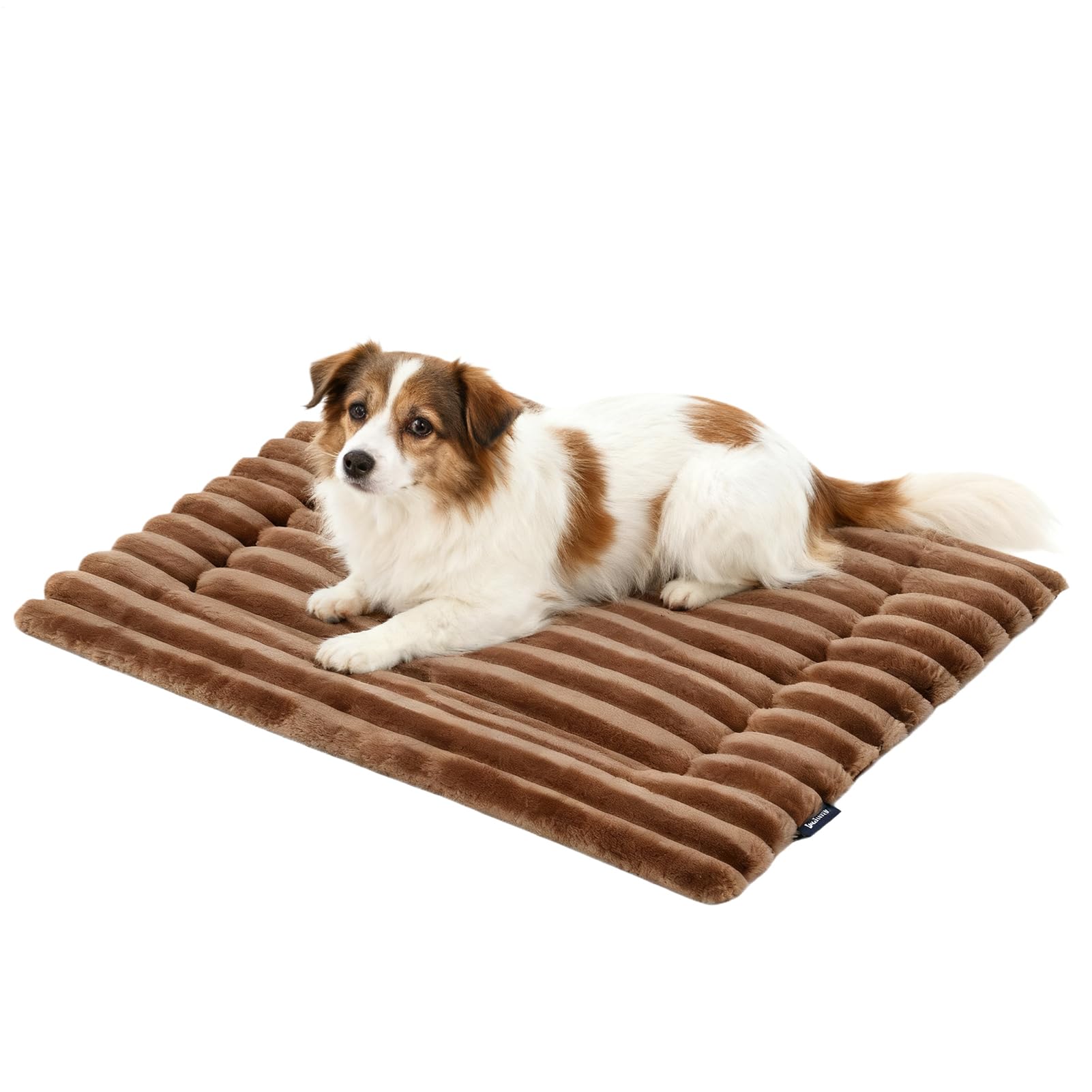 Tapis auto-chauffant en peluche pour chat et petits chiens d'intérieur