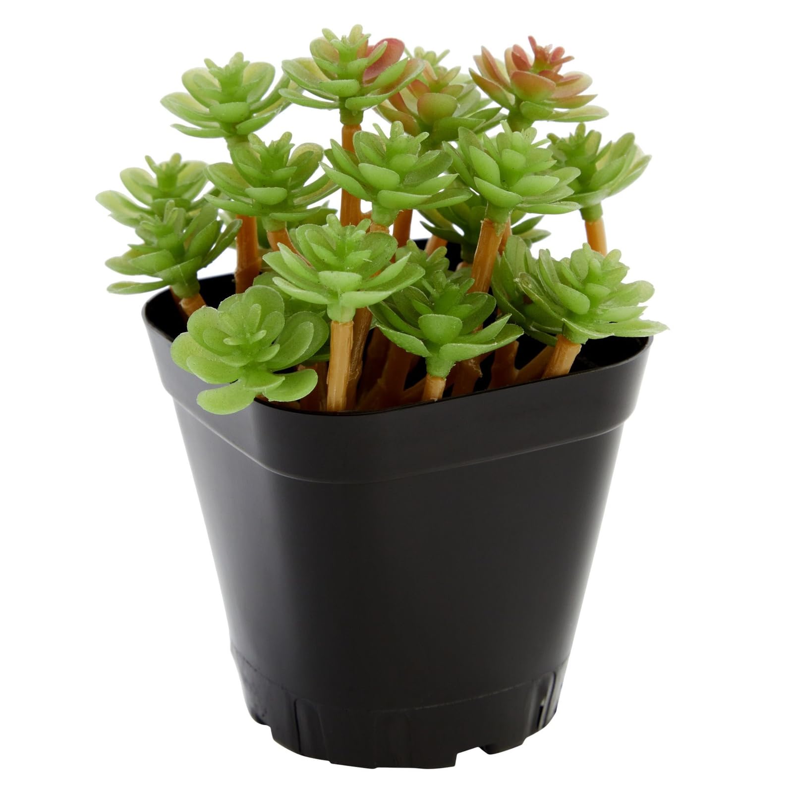 Juvale Lot de 150 Petits Pots de semis carrés en Plastique de 5,1 cm pour Plantes, jardinières de démarrage pour semences, Fleurs, Plantes Grasses, Propagation, Jardin intérieur (Noir)