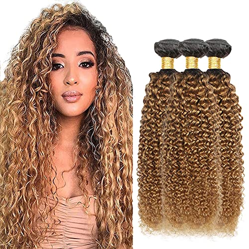 Ombre Human Hair Bundles Blonde Kinky Curly Wavy Ombre Human Hair 1B/27 Bundles Brazilian Virgin Blonde Curly Bundles 2 Tone Black and Blonde Brazilian Human Hair Weave 22 24 26 Inch