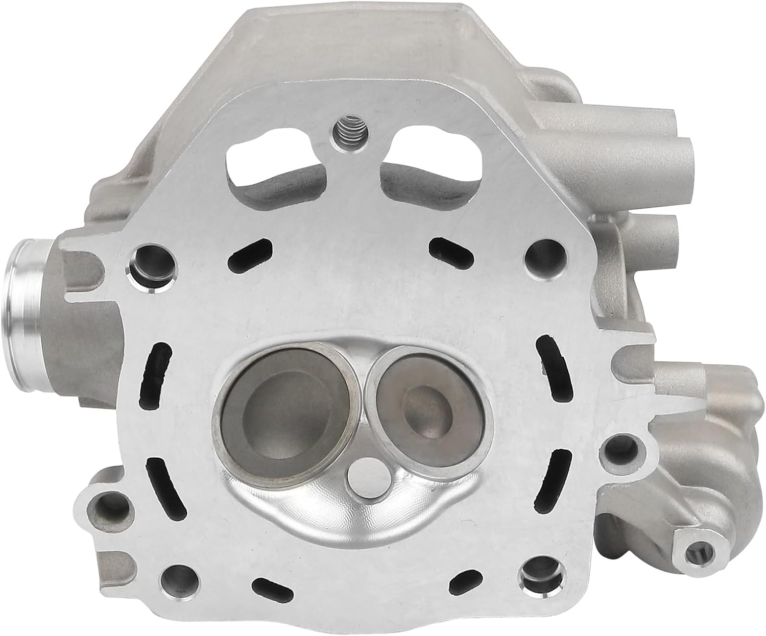 Engine Cylinder Head with Valve and Springs Compatible with Honda TRX420 TRX500 SXS500 2009-2024 Replace 12200-HP7-A01