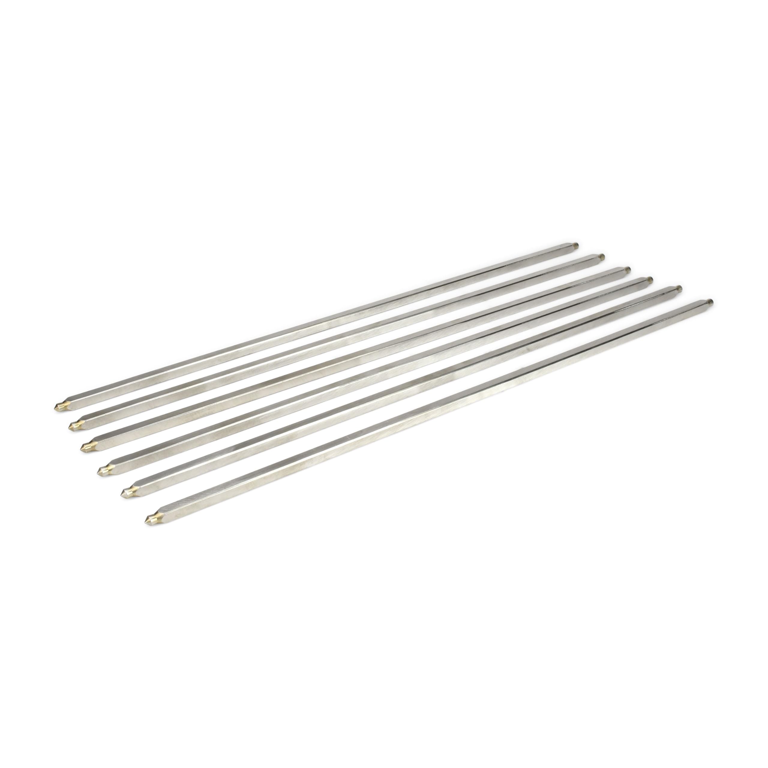 Grillrost.com Das Original 6 spiedini di Ricambio in Acciaio Inox per Il Supporto per asado