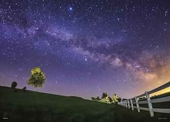 618vrFlvLVL._AC_UF350,