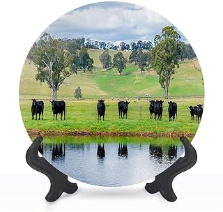Decorative Ceramic Plates for Display with Stand, 10" Herd black cows green pasture water Dinner Plate for Wall Hanging Tabletop Decor Home Housewarming Gifts