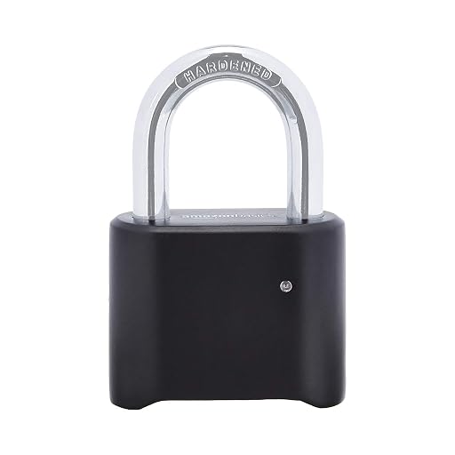 MockWares Basics 4-Digit Combination Padlock