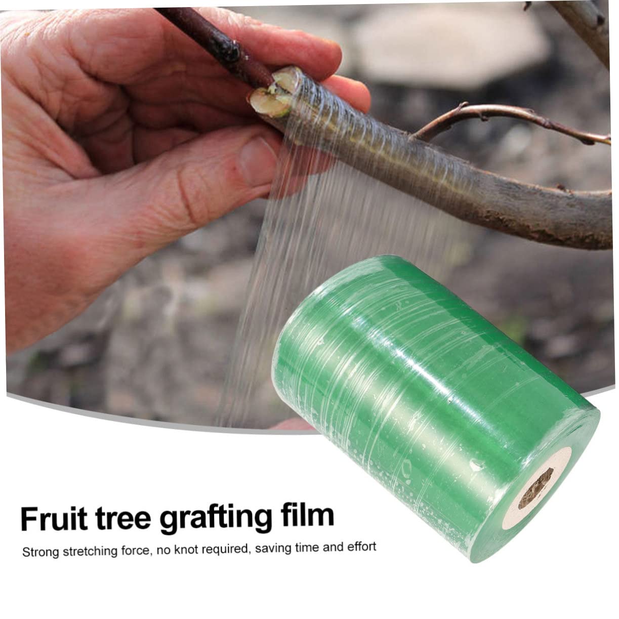 4 Rollen Breites Selbstklebendes PVC veredelungsband für Obstbäume Dehnbar Flexibles Floristenfilm für Pfropfung von Pekannüssen Walnüssen Zitrus Steinobstbäumen Grün Transparent
