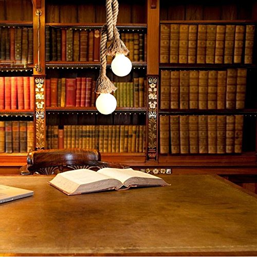 Lixada 100cm (coppia di funi) AC220V E27 Doppia