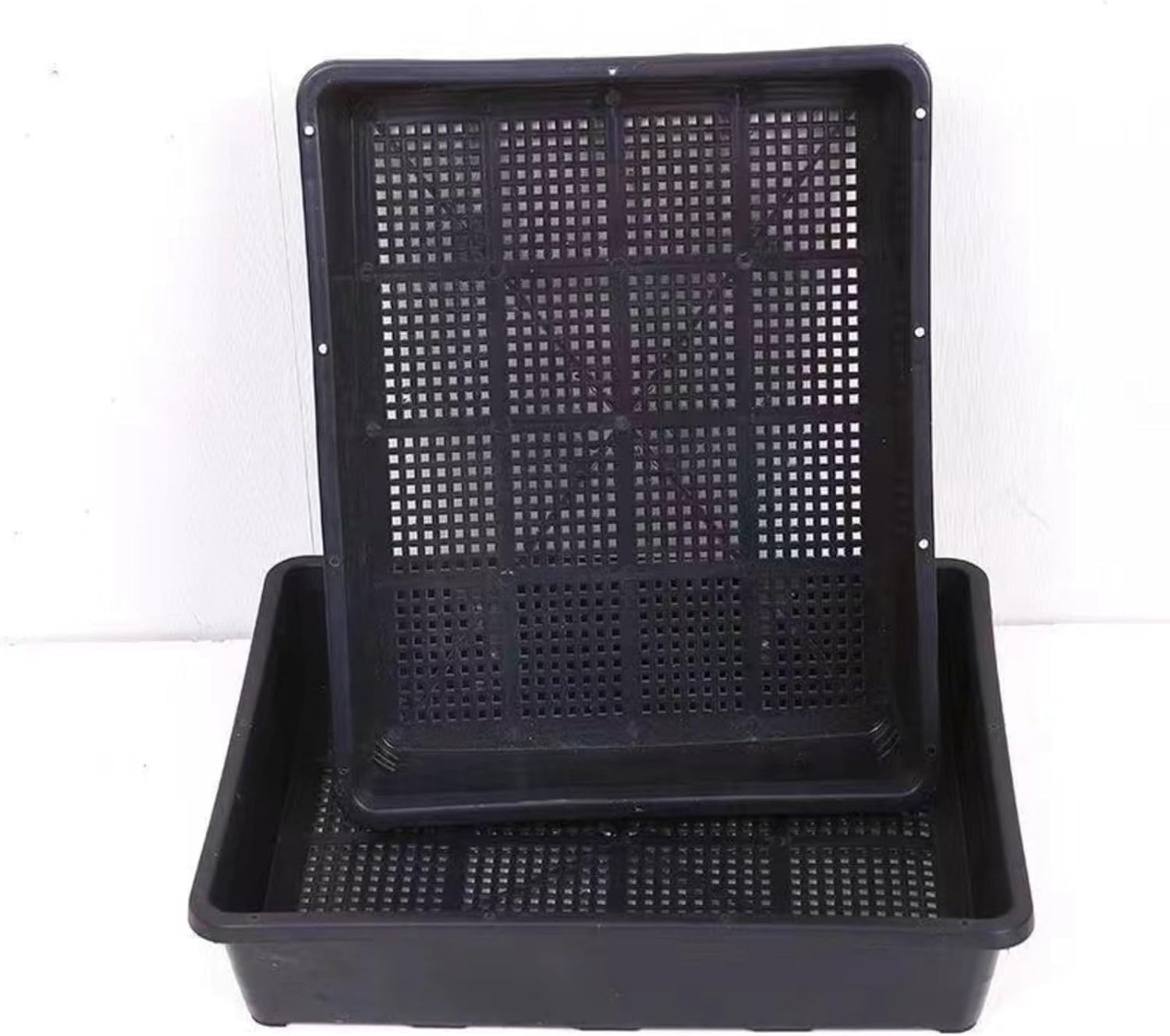 専用苗 Amazon.co.jp: 育苗トレー 園芸 トレー セルトレイ 72穴 苗トレー 苗