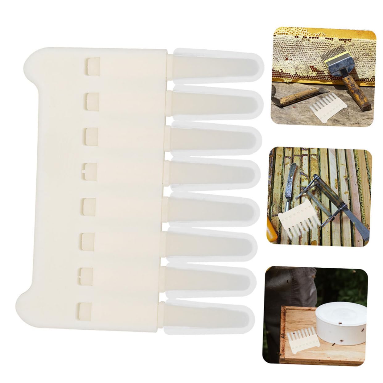BESPORTBLE 6pezzi Royal Jelly Extract Pen Strumento Di Raschiatura Per Apicoltura Ottimizza Raccolta e Pulizia Dei Favi Utile Per Apicoltori Esperti e Principianti