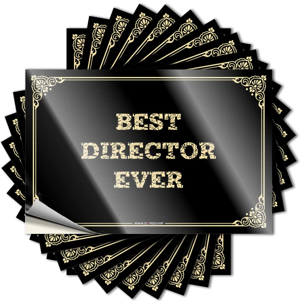 Beer Water Decal - Best Director Ever Cool Durable Sticker Easy Apply for Gamers Decor(6X9CM)