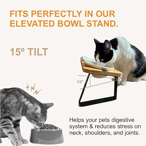 Vista 17 de Soporte elevado para comida y agua para gatos, estación de alimentación elevada antivómitos con soporte inclinado, cuencos redondos de cerámica