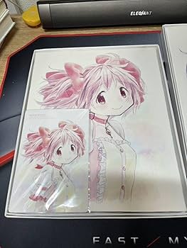 Amazon.co.jp: 魔法少女まどか マギカ まどマギ キャンバス