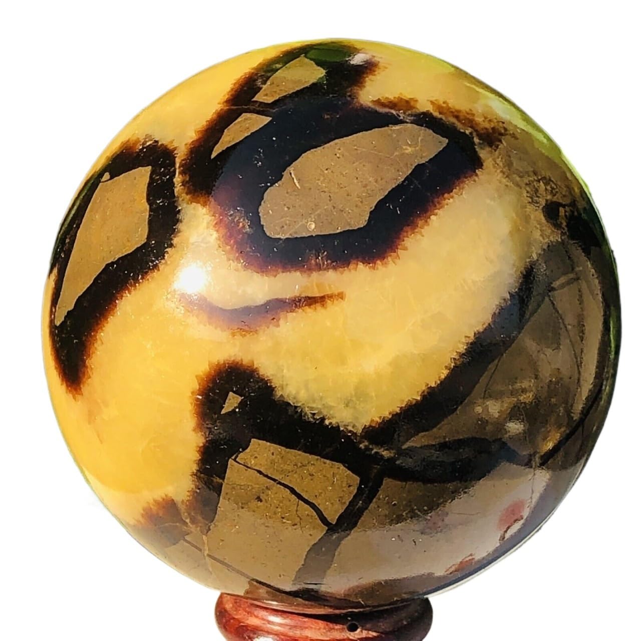 AARTERZZA 1pc 800-850g Turtle Back Stone Quartz Dragon Crystal Ball Gem