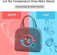 Vista 4 de RAYCLOUD Bolsa de almuerzo para adultos, impermeable, reutilizable, aislada, hielera, contenedor de comida con bolsillo lateral y asa redonda, gran