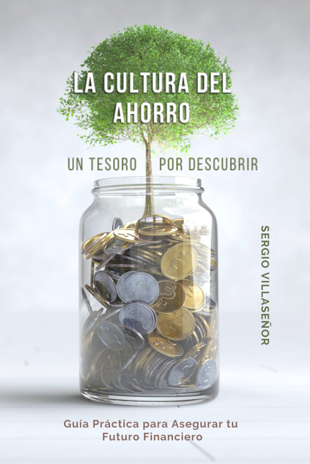 LA CULTURA DEL AHORRO - Un Tesoro por Descubrir: Guía Práctica para Asegurar tu Futuro Financiero (Spanish Edition)
