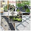 Hand Picked Miniature Painted Rocks, Smooth Pebbles for Craft Petroglyphs, Home Decor, Painting Activities 0.4-1.0 inch Natural River Small Rocks, Suitable for DIY Projects 200pcs #5