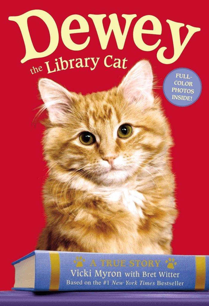 Amazon.ca: Vicki Myron: books, biography, latest update