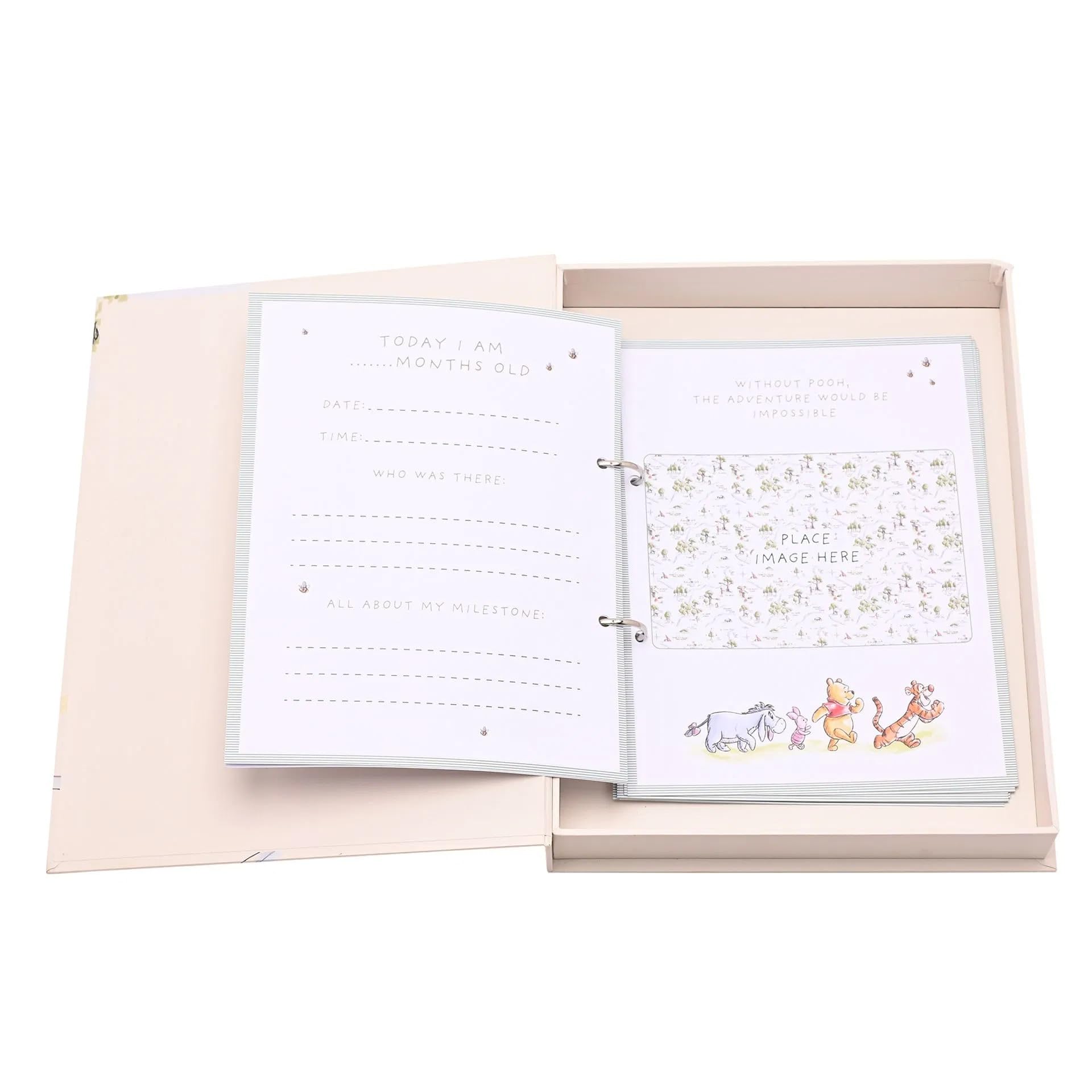 Disney Winnie Puuh Meilensteinalbum mit Karten