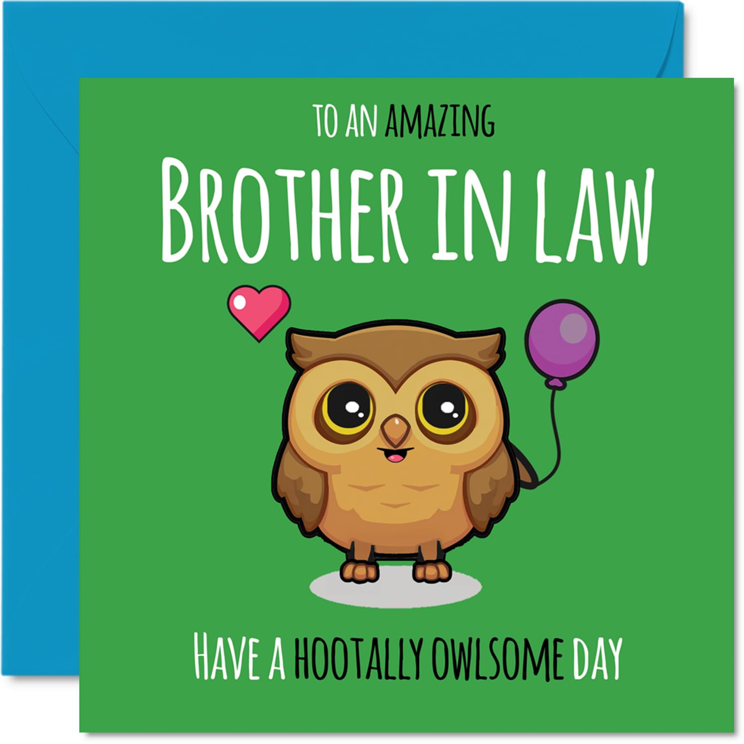 Brother in Law Birthday Card - Hootally Owlsome - Happy Birthday Card for Brother in Law from Sister Sibling, 145mm cute owl Bday Greeting Cards