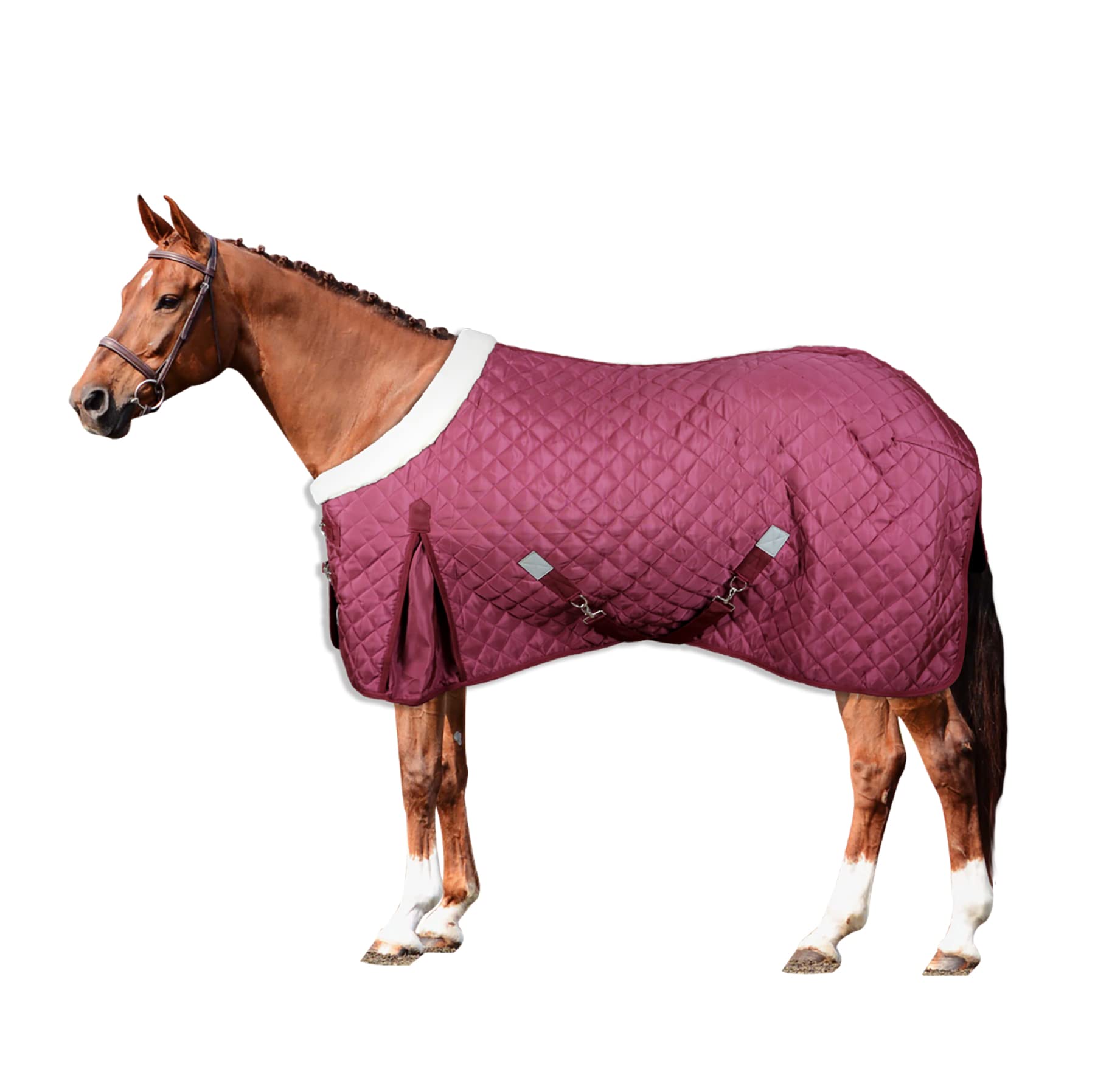 Horses, Manta de boxeo Quazar Move, 160 gr, excelente acabado, útil para proteger al caballo de los cambios de temperatura, lluvia e insectos (128 cm)