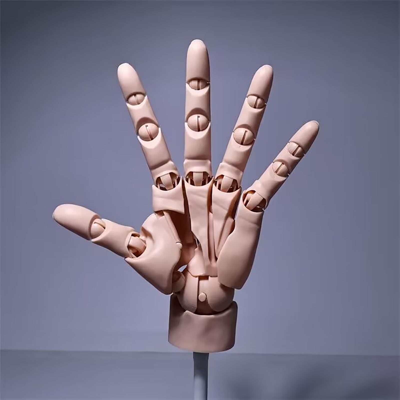 Modelo de mano, 1: 1. Arte de palma simulada, dibujo de estudiante, referencia de cuerpo, mano, modelo de cuerpo humano, mano con base, soporte de exhibición, A