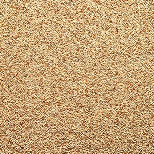 Johnston & Jeff Graines de caille Cover